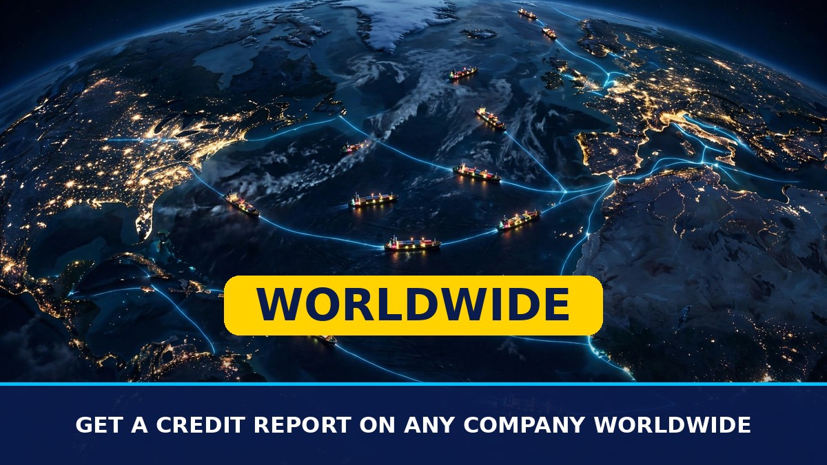 How to Get a Credit Report on Any Company Worldwide (Step-by-Step)