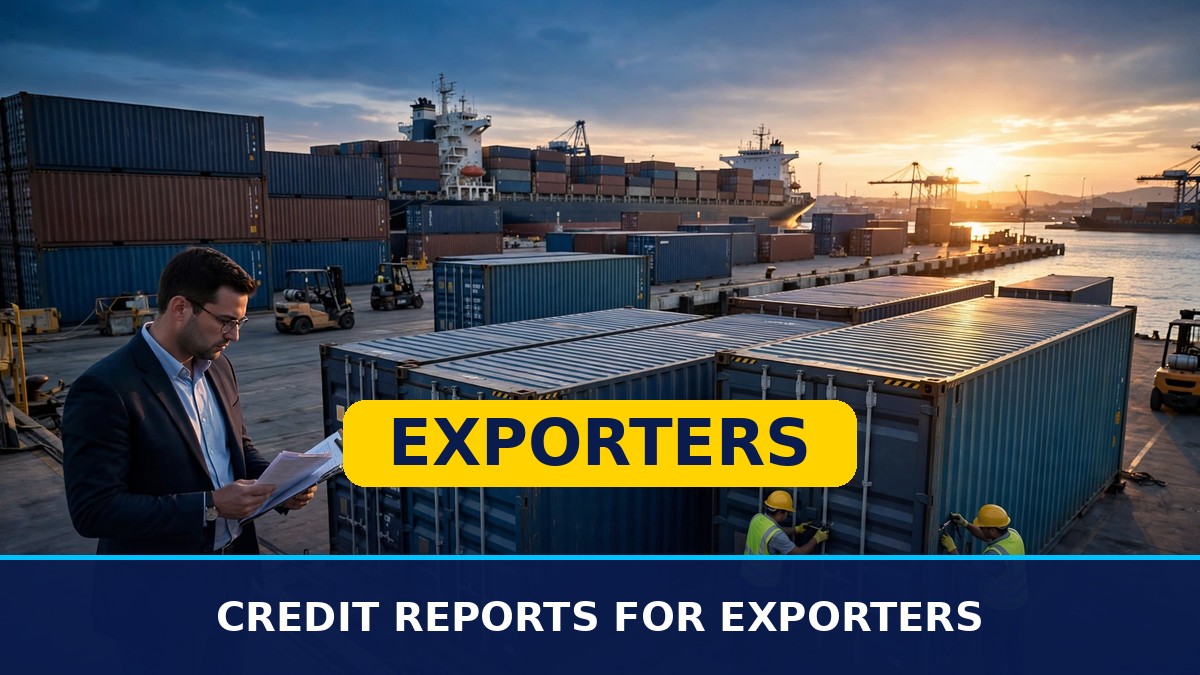 Credit Reports for Exporters: How to Check a Foreign Buyer Before You Ship