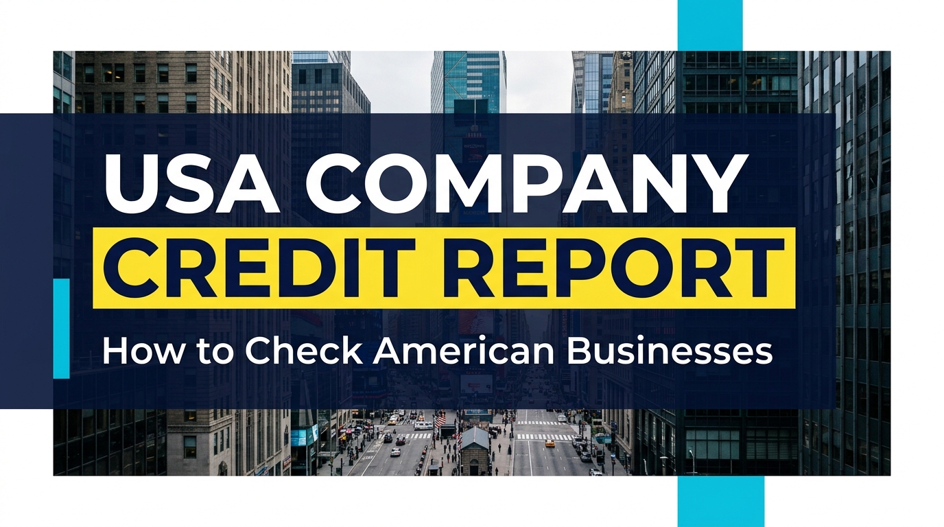 USA Company Credit Report: How to Check American Businesses